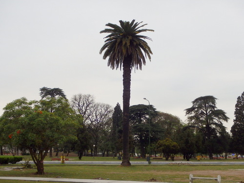 9 de Julio Parque.